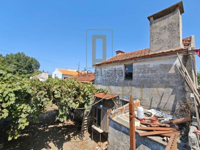 Quinta venda em Ílhavo, Aveiro