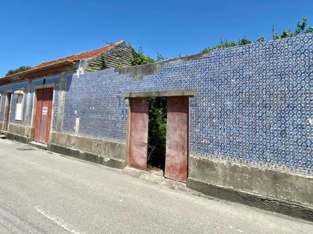 Quinta venda em Ílhavo, Aveiro