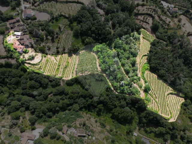 Quinta venda em Amarante, Porto