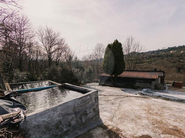 Quinta venda em Amarante, Porto