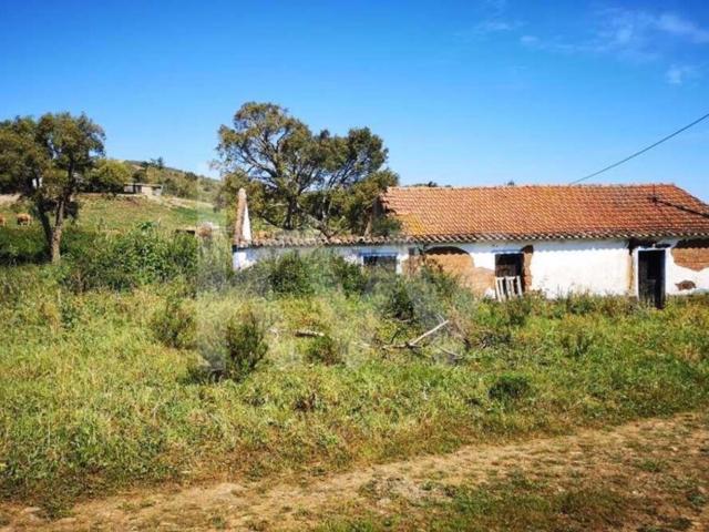 Quinta venda em São Teotónio, Relva Grande