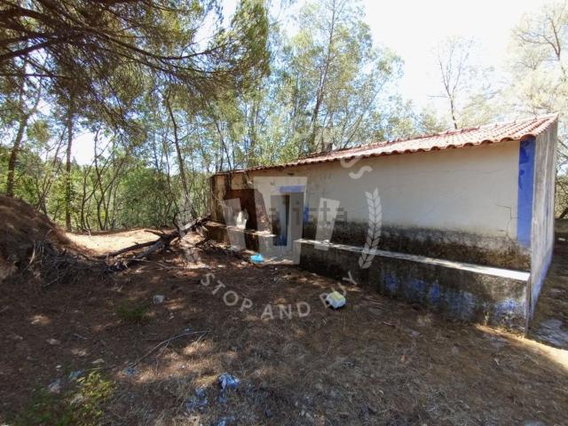 Quinta venda em São Teotónio, Odemira