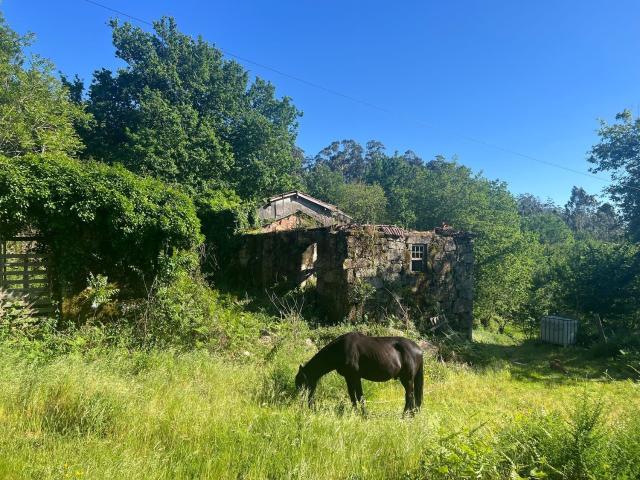 Quinta venda em Guimarães, Braga