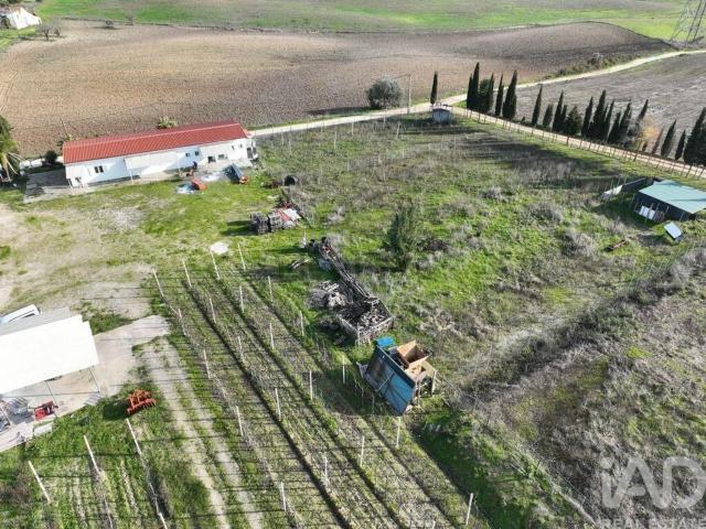 Quinta venda em São Vicente do Paul, Santarém