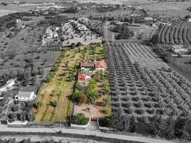 Quinta venda em Santarém