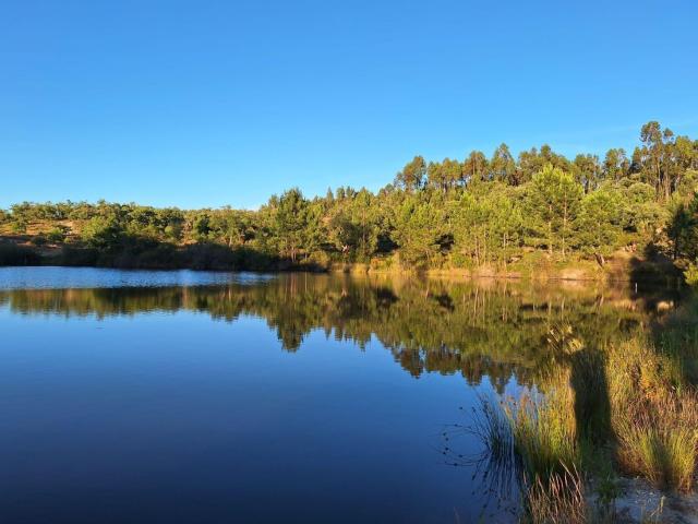 Quinta venda em Santarém