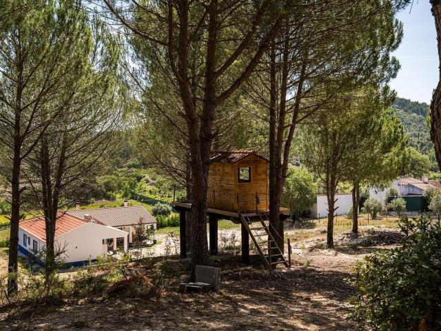 Quinta venda em Abrançalha de Cima, Abrantes