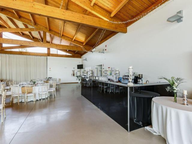 Quinta venda em Abrantes, Santarém