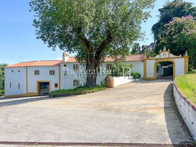 Quinta venda em Constância, Santarém