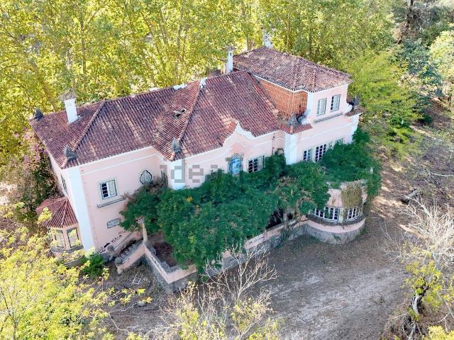 Quinta venda em Abrantes, Santarém