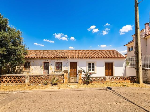 Quinta venda em Abrantes, Santarém