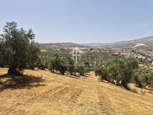 Casa Rural en venta en Comarca de Loja, Andalucía
