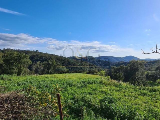 Quinta venda em Loulé, Faro