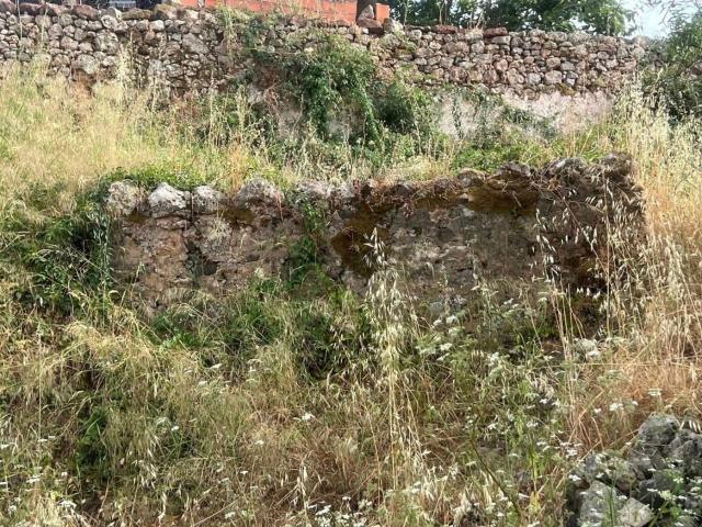 Quinta venda em Nave do Barão, Loulé