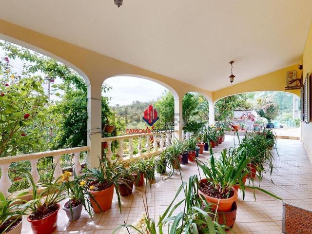 Quinta venda em Loulé, Faro
