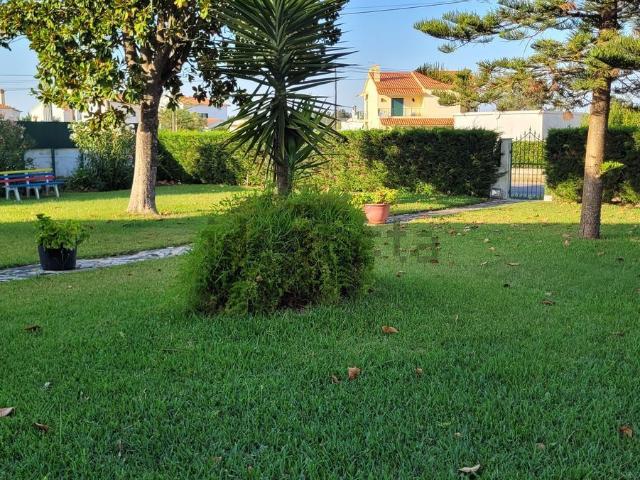 Quinta venda em Benavente, Santarém