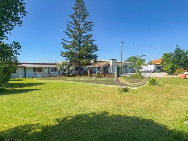 Quinta venda em Samora Correia