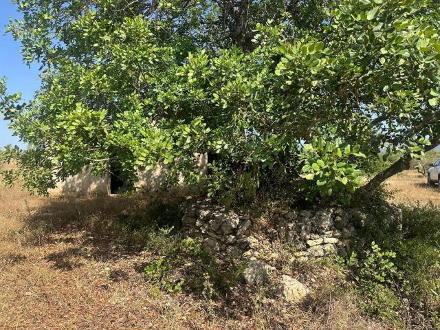 Casa Rural en venta en el Baix Maestrat, Valencia