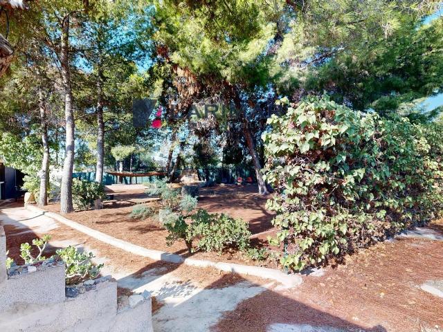 Casa Rural en venta en Sant Vicent del Raspeig / San Vicente del Raspeig, l'Alacantí