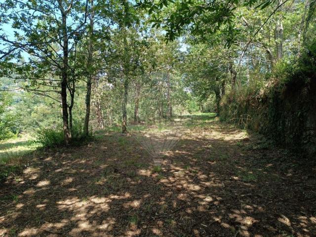 Quinta venda em Vila Verde, Braga