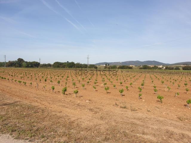 Casa Rural en venta en Alt Penedès, Catalunya