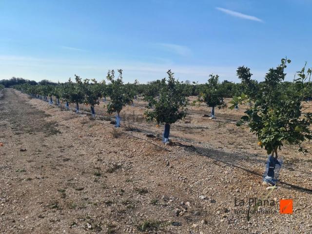 Casa Rural en venta en Montsià, Catalunya