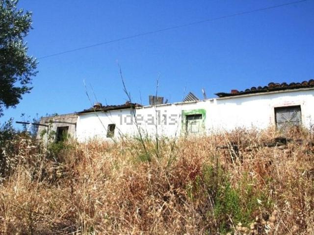 Quinta venda em Santa Catarina da Fonte do Bispo, Tavira