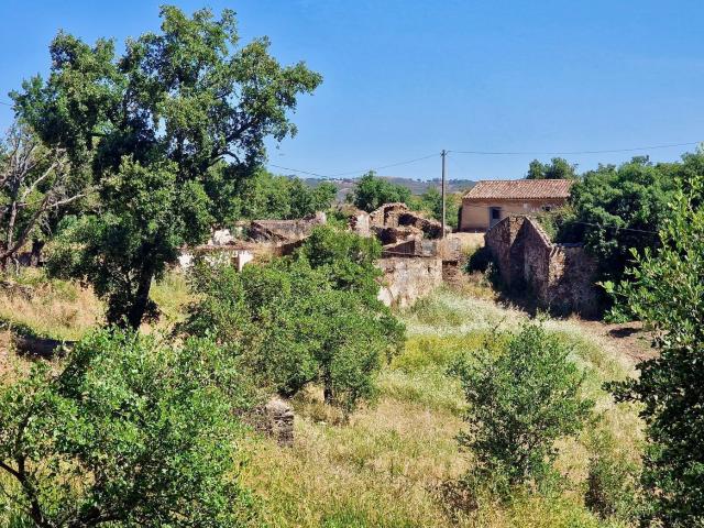 Quinta venda em Santa Catarina da Fonte do Bispo, Tavira