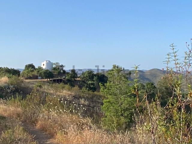 Quinta venda em Santa Catarina da Fonte do Bispo, Tavira