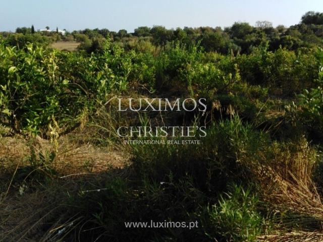Quinta venda em Santa Catarina da Fonte do Bispo, Tavira