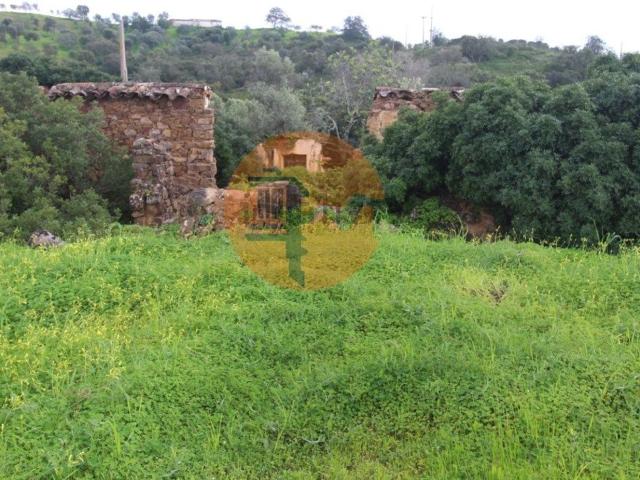 Quinta venda em Santa Catarina da Fonte do Bispo, Tavira