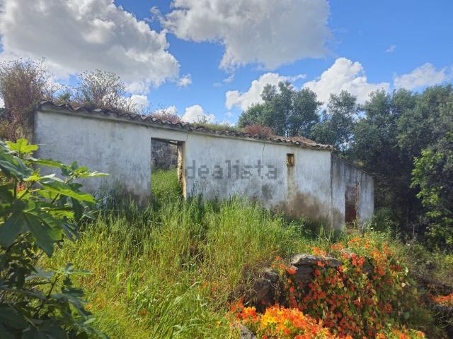 Quinta venda em Santa Catarina da Fonte do Bispo, Tavira