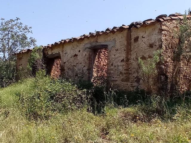 Quinta venda em Santa Catarina da Fonte do Bispo, Tavira