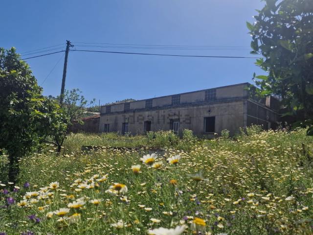 Quinta venda em Santa Catarina da Fonte do Bispo, Tavira