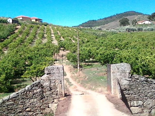 Quinta venda em Vila Flor, Bragança