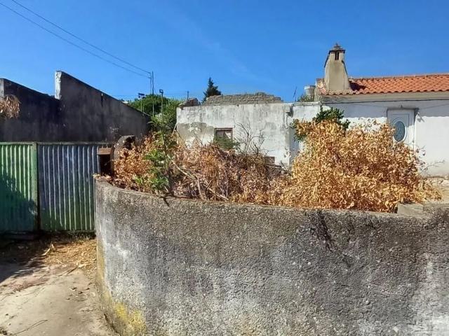 Quinta venda em Constância, Santarém