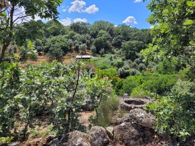 Quinta venda em Santa Maria Da Devesa