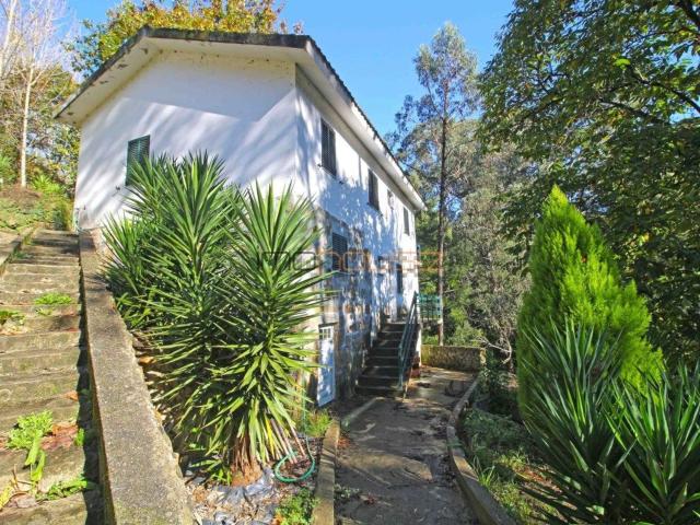 Quinta venda em Santa Maria De Sardoura, Ilha do Pico