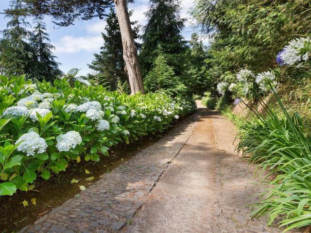 Quinta venda em Funchal, Ilha Da Madeira