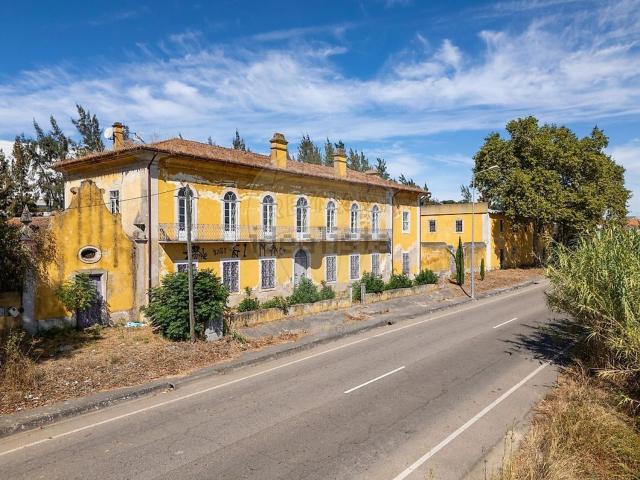 Quinta venda em Torres Novas, Santarém