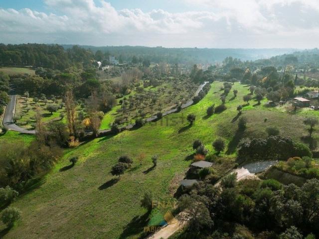 Quinta venda em Torres Novas, Santarém
