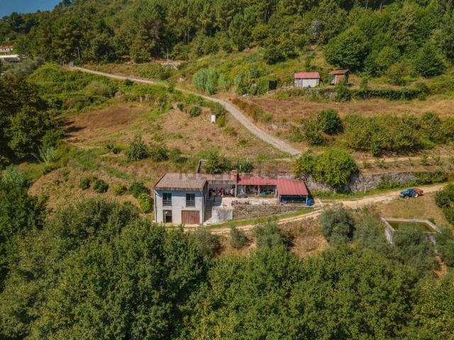Quinta venda em Baião, Porto