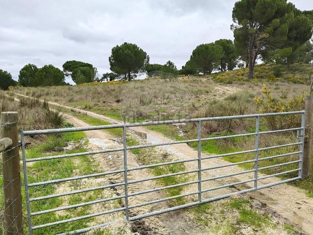 Quinta venda em Coruche, Santarém