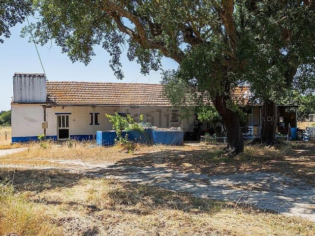 Quinta venda em Coruche, Santarém