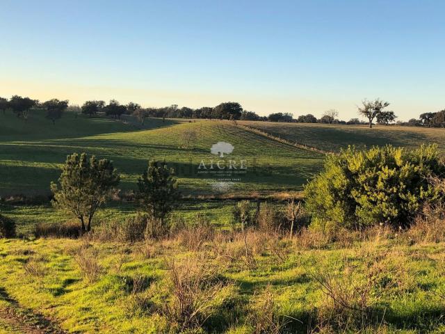 Quinta venda em Santiago Do Cacém, Setúbal