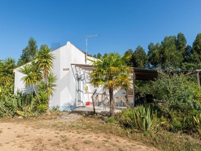 Quinta venda em Aldeia dos Chãos, Santiago Do Cacém