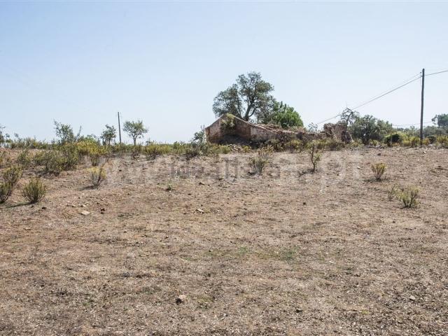 Quinta venda em Santiago Do Cacém, Setúbal