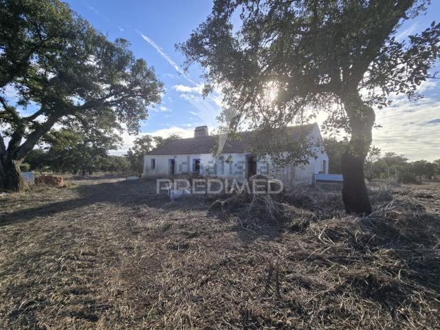 Quinta venda em Santiago Do Cacém, Setúbal