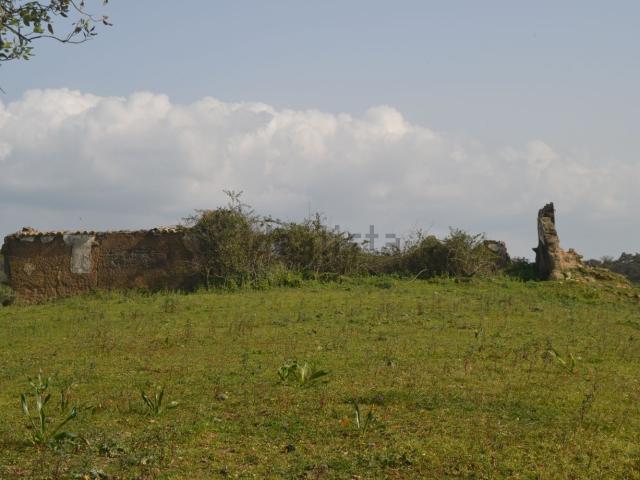 Quinta venda em Santiago Do Cacém, Setúbal