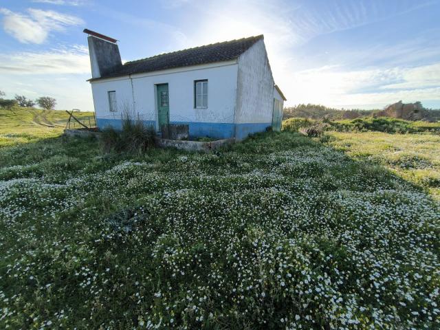 Quinta venda em Santiago Do Cacém, Setúbal